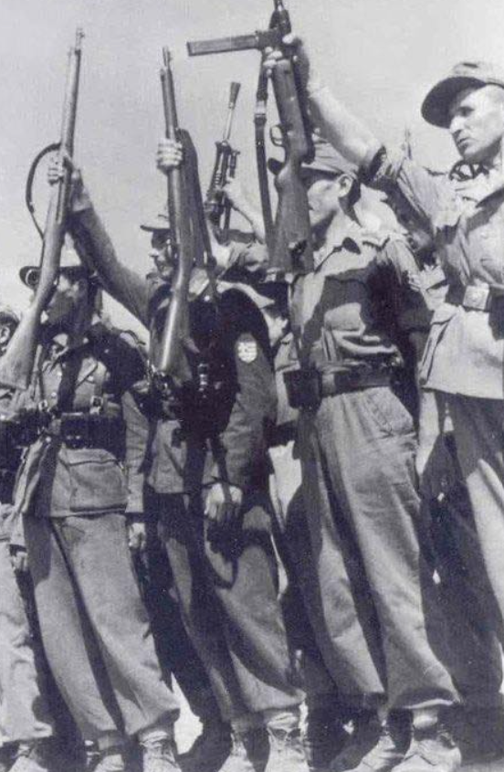 600dpi-Greek Nazi Security Regiment600.png